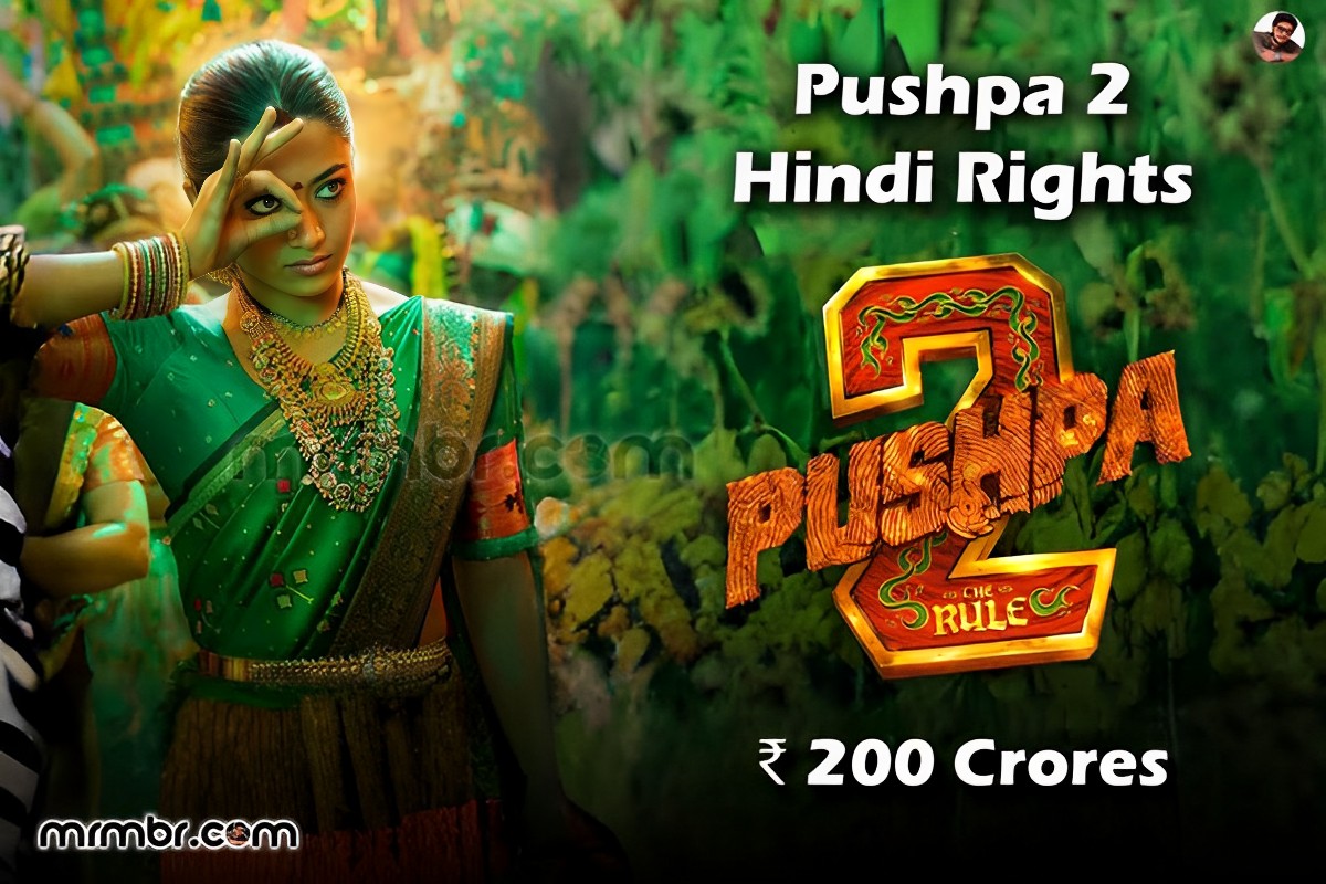 Pushpa 2 Hindi Rights