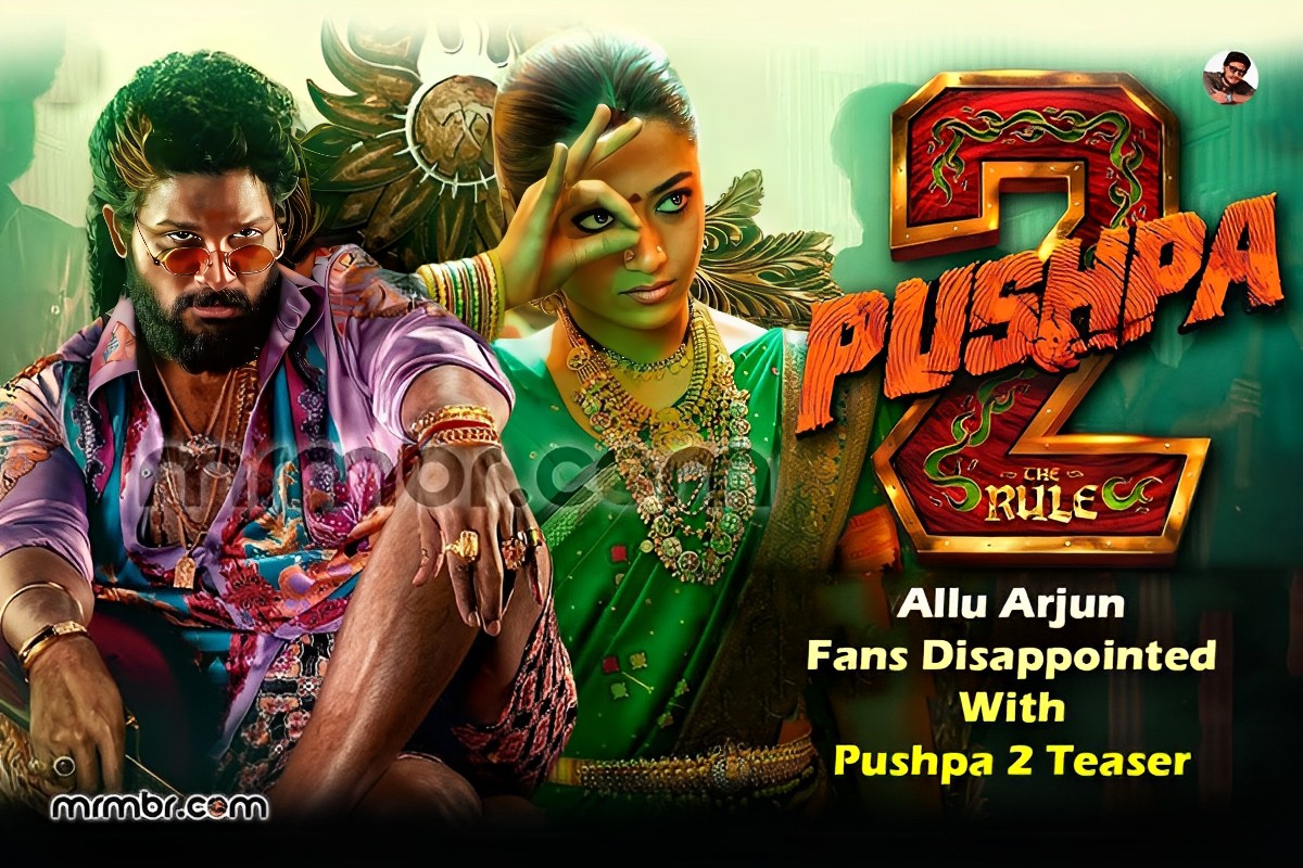 Reasons Why Allu Arjun Fans Disappointed With Pushpa 2 Teaser